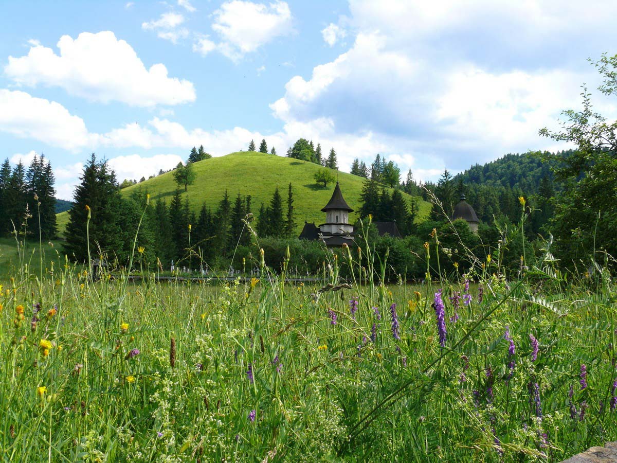 Румыния